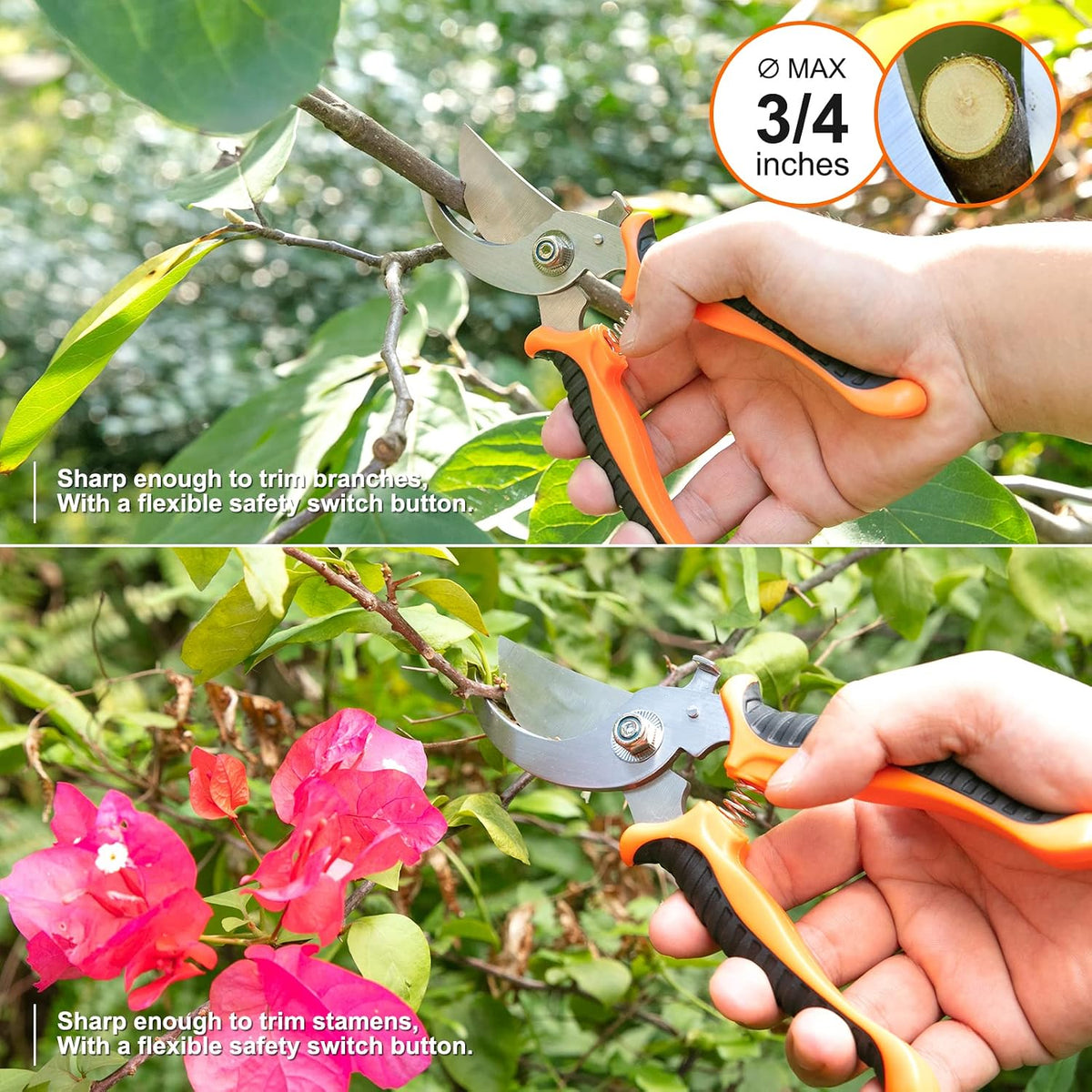 Pruning tools