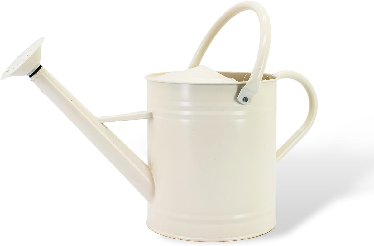 1 Gallon Watering Can, Metal Watering Can with Removable Spout, Farmhouse Galvanzied Water Can, Nice Plant Water Can for Indoor Use and for Outdoor Use