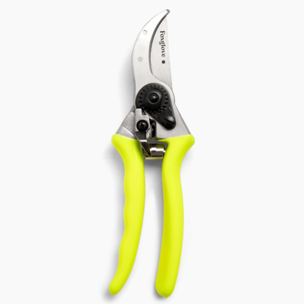 Foxglove Pruning Shears - Bypass Hand Pruners, Japanese SK5 Blades Shears