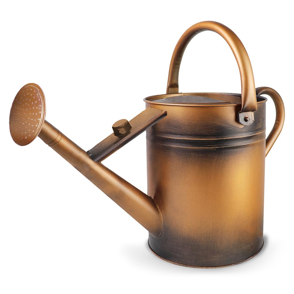 1 Gallon Metal Watering Can with Removable Spout, Nice Galvanized Steel Water Can for Indoor and Outdoor Plants (House Plants)