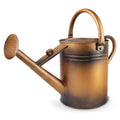 1 Gallon Metal Watering Can with Removable Spout, Nice Galvanized Steel Water Can for Indoor and Outdoor Plants (House Plants)