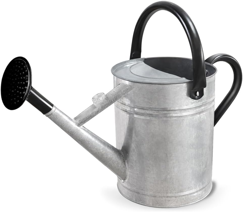 1 Gallon Metal Watering Can with Removable Spout, Nice Galvanized Steel Water Can for Indoor and Outdoor Plants (House Plants)
