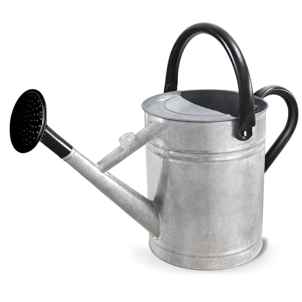 1 Gallon Metal Watering Can with Removable Spout, Nice Galvanized Steel Water Can for Indoor and Outdoor Plants (House Plants)