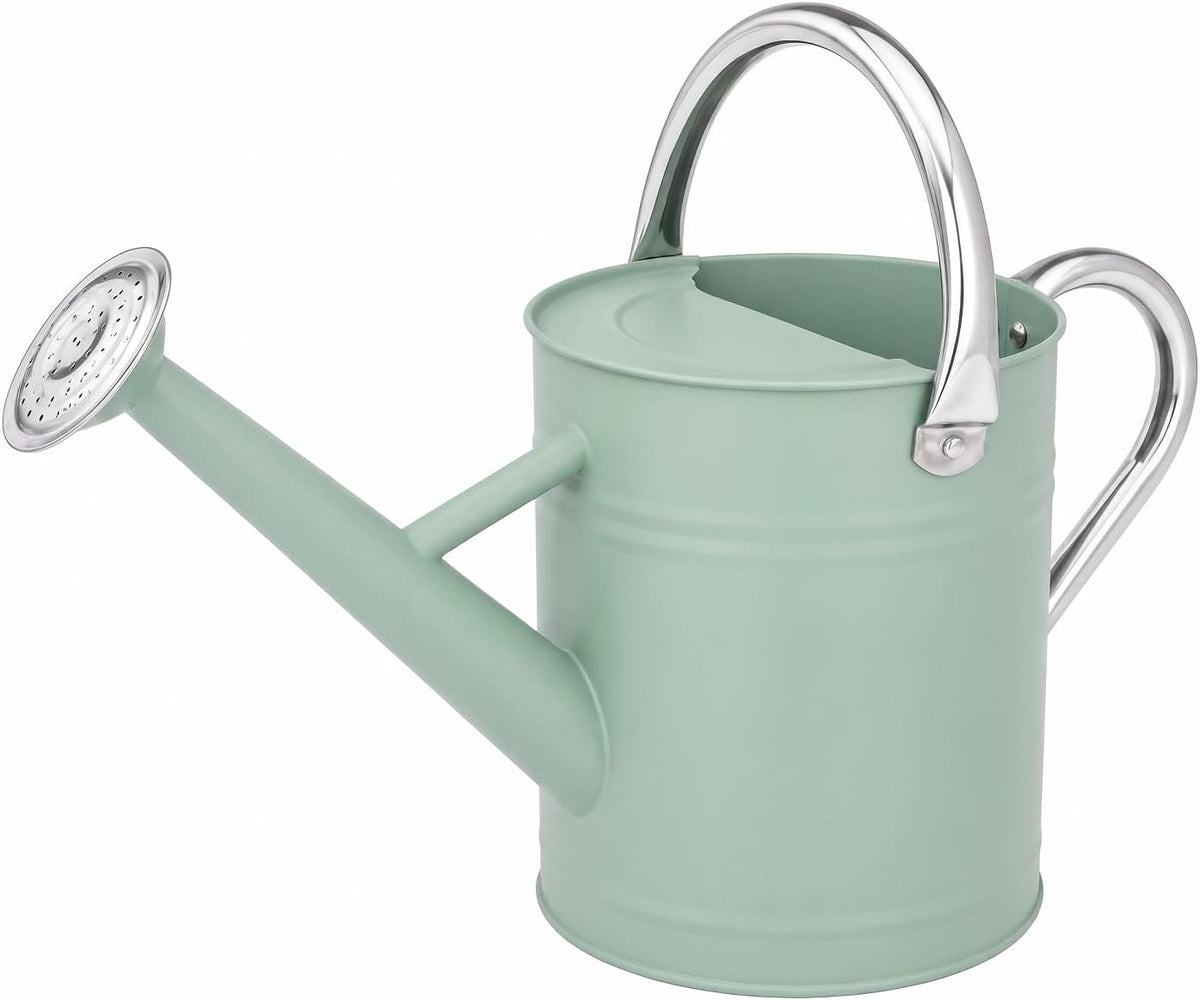 1 Gallon Metal Watering Can for Indoor Outdoor Plants, Cream Green