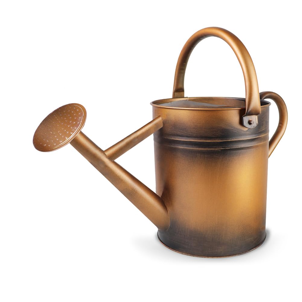 Metal Watering Can with Removable Spout, Galvanized Steel Plants Water Can for Women, Men and Kids' Outdoor or Indoor Gardening - Nice Flower Watering Pot Gift & Decoration (Green, 0.6 Gallon)