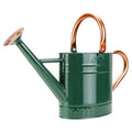 1 Gallon Metal Watering Can with Removable Spout, Nice Galvanized Steel Water Can with Embossed Design for Indoor and Outdoor Plants