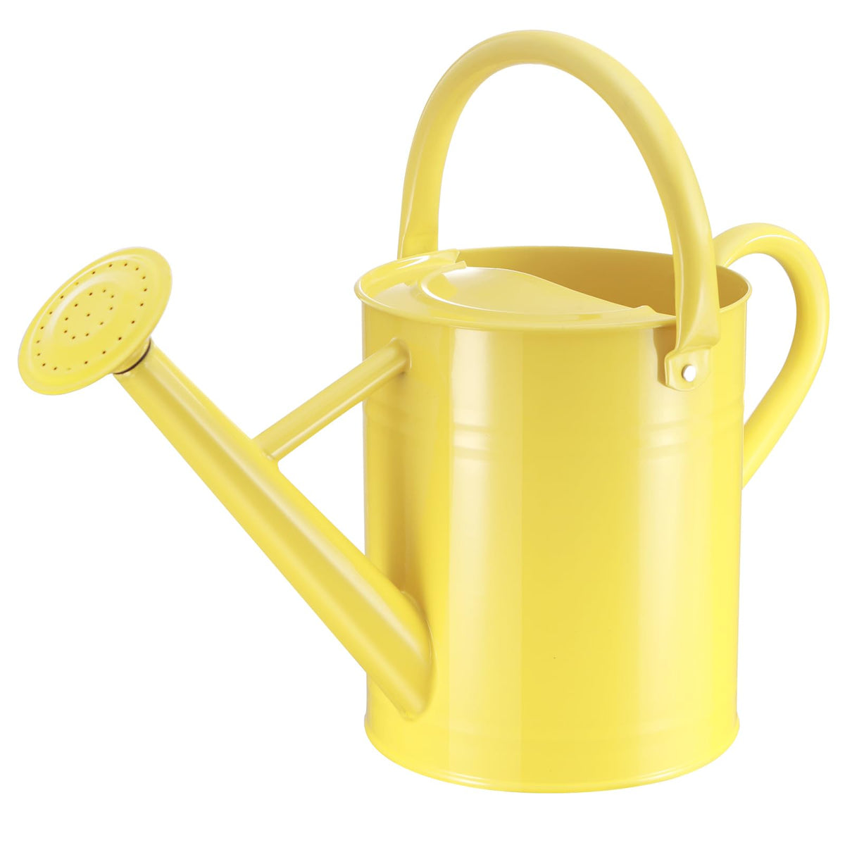 1 Gallon Watering Can for Outdoor&Indoor Plants
