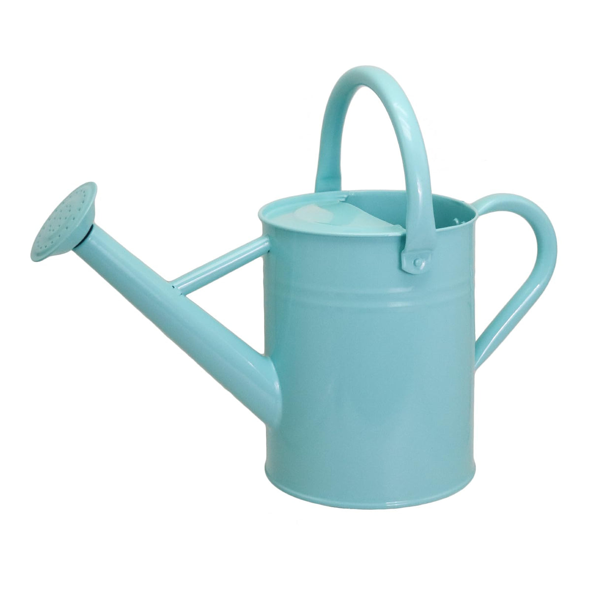 Metal Watering Can for Outdoor Plants, 1 Gallon Galvanized Steel Watering Can with Removable spout for Outdoor & Indoor Use, Perfect for Garden Flower, Houseplants, Forest Green