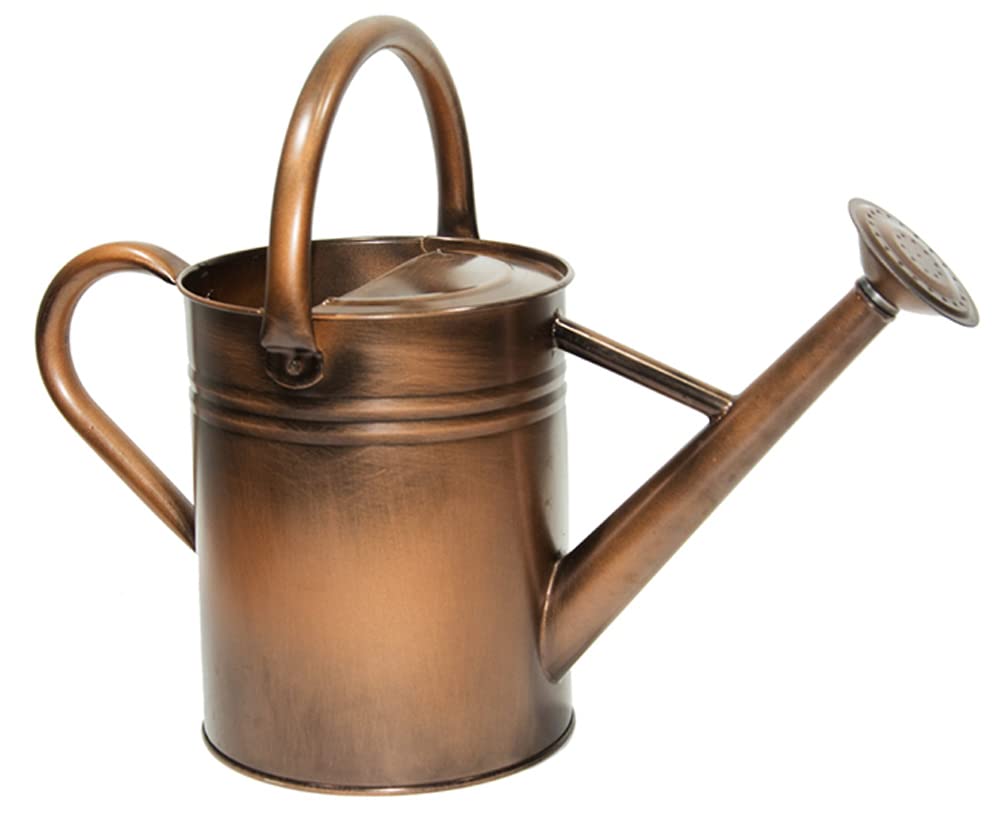 Metal Watering Can 1 Gallon for Outdoor Garden Plants, CGreen