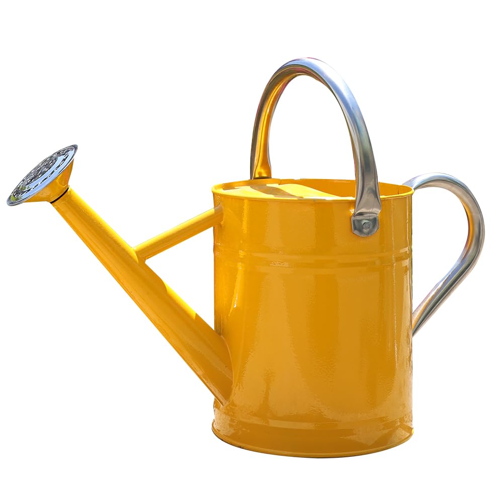 Metal Watering Can 1 Gallon for Outdoor Garden Plants, CGreen