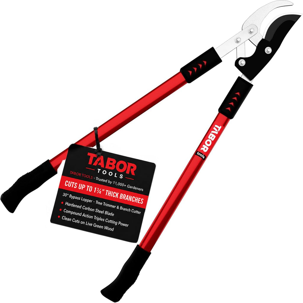 TABOR TOOLS GG12A Anvil Lopper with Compound Action, 30 Inch Tree Trimmer & Branch Cutter, Heavy Duty Tree Pruner with 2 Inch Cut Capacity, Chops Thick Dry Branches with Ease
