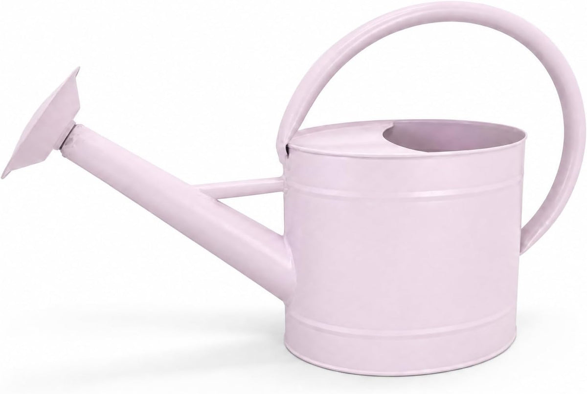 1 Gallon Watering Can, Metal Watering Can with Removable Spout, Farmhouse Galvanzied Water Can, Nice Plant Water Can for Indoor Use and for Outdoor Use
