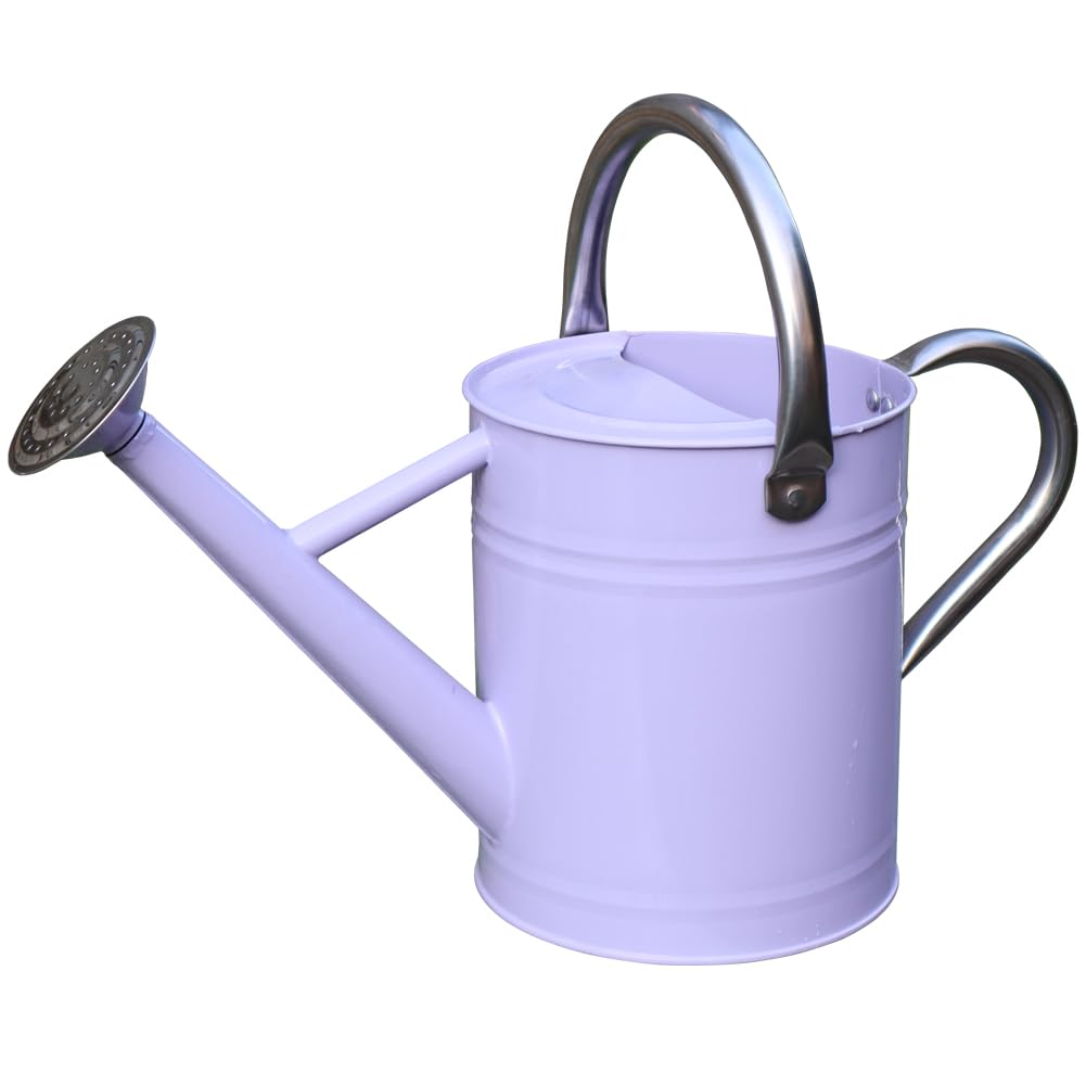 Metal Watering Can 1 Gallon for Outdoor Garden Plants, CGreen