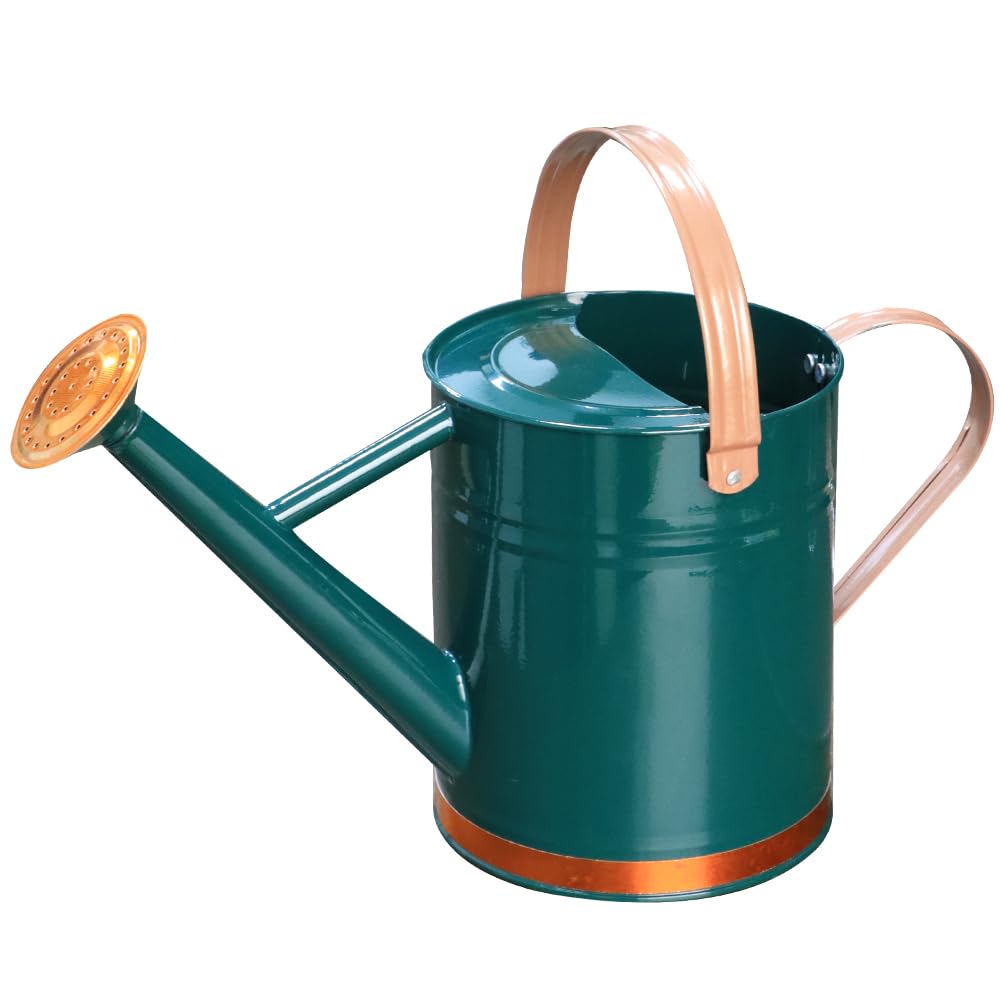 Metal Watering Can 1 Gallon for Outdoor Garden Plants, CGreen
