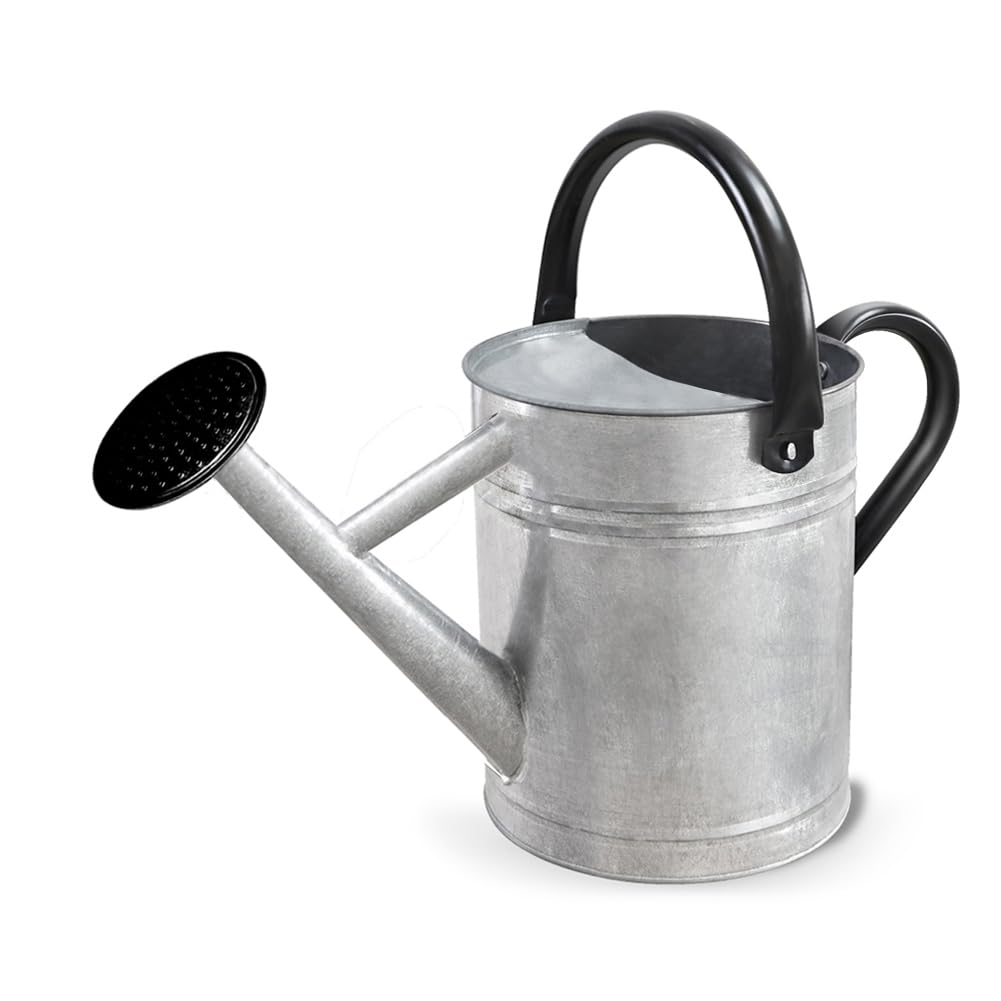 Metal Watering Can with Removable Spout, Galvanized Steel Plants Water Can for Women, Men and Kids' Outdoor or Indoor Gardening - Nice Flower Watering Pot Gift & Decoration (Green, 0.6 Gallon)