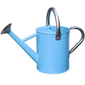 Metal Watering Can 1 Gallon for Outdoor Garden Plants, CGreen