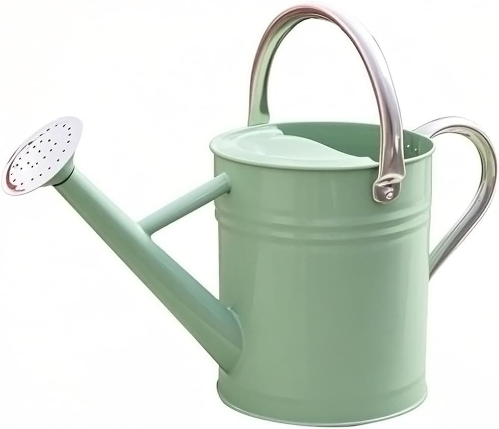 Metal Watering Can 1 Gallon for Outdoor Garden Plants, CGreen