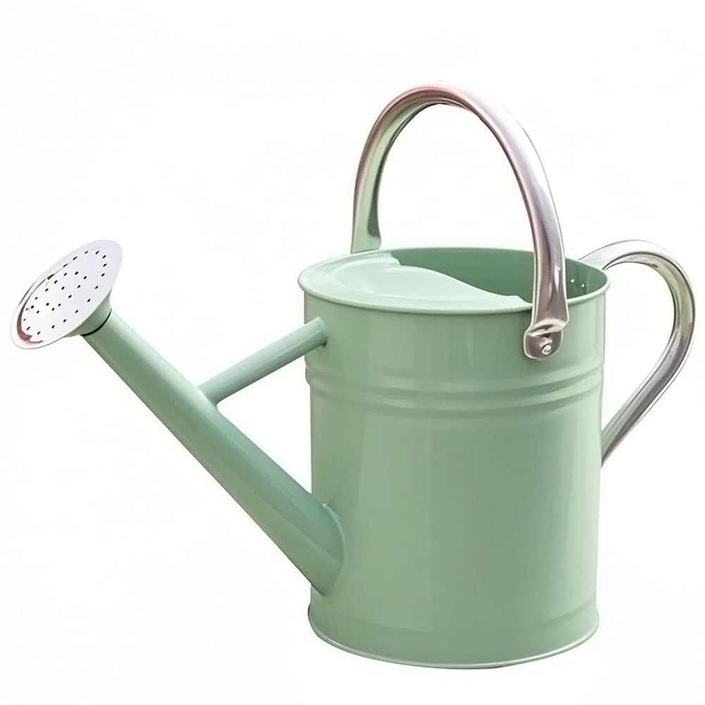 Metal Watering Can 1 Gallon for Outdoor Garden Plants, CGreen
