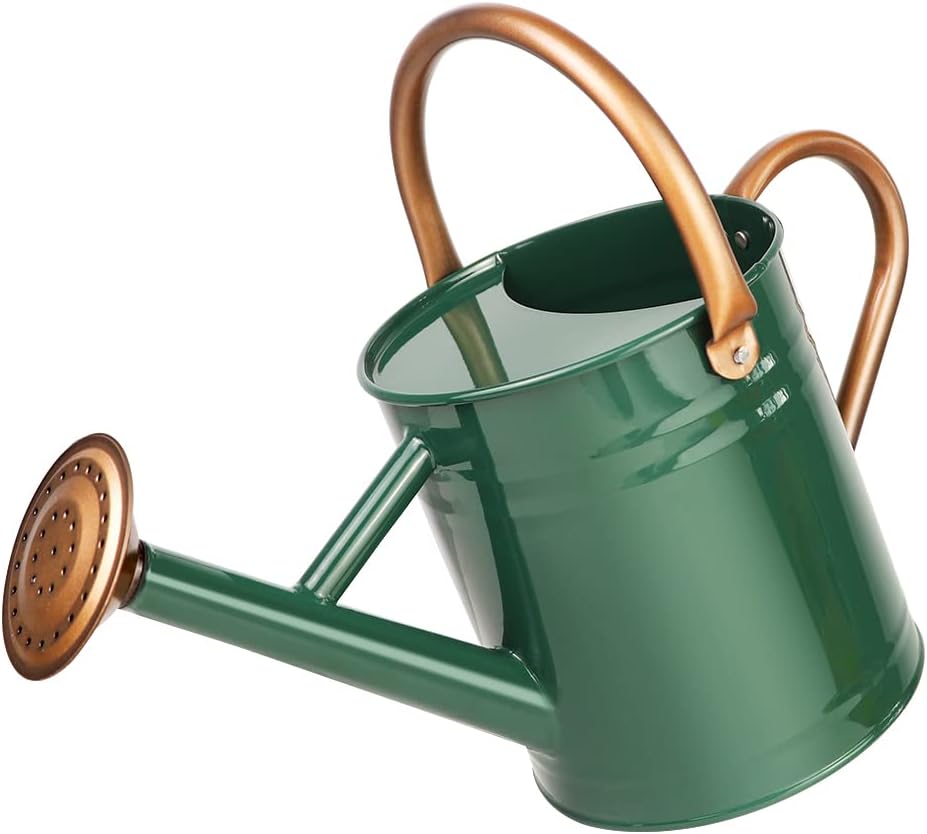Metal Watering Can with Removable Spout, Galvanized Steel Plants Water Can for Women, Men and Kids' Outdoor or Indoor Gardening - Nice Flower Watering Pot Gift & Decoration (Green, 0.6 Gallon)
