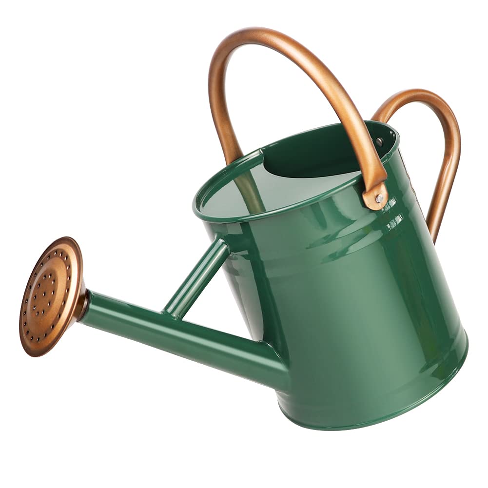 Metal Watering Can with Removable Spout, Galvanized Steel Plants Water Can for Women, Men and Kids' Outdoor or Indoor Gardening - Nice Flower Watering Pot Gift & Decoration (Green, 0.6 Gallon)