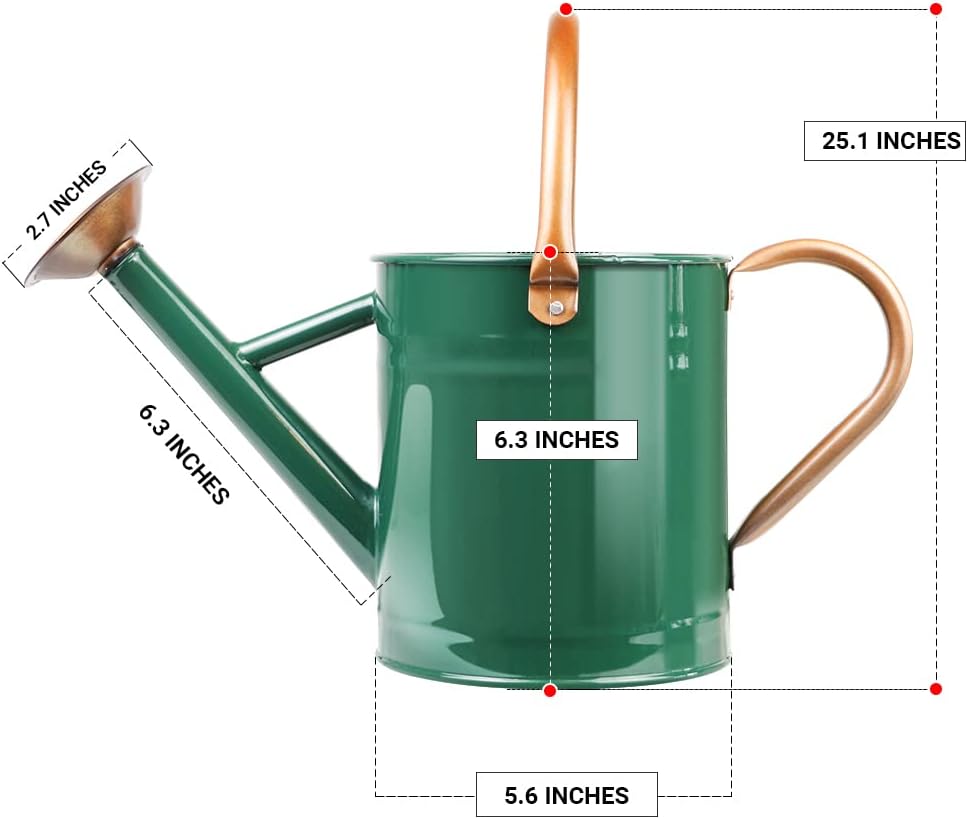 Metal Watering Can with Removable Spout, Galvanized Steel Plants Water Can for Women, Men and Kids' Outdoor or Indoor Gardening - Nice Flower Watering Pot Gift & Decoration (Green, 0.6 Gallon)
