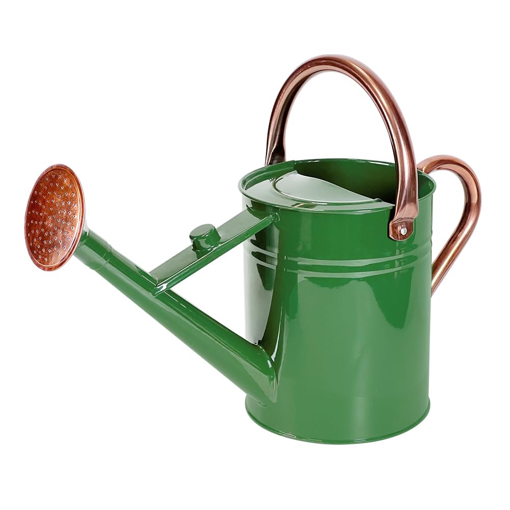 1 Gallon Metal Watering Can with Removable Spout, Nice Galvanized Steel Water Can for Indoor and Outdoor Plants (House Plants)