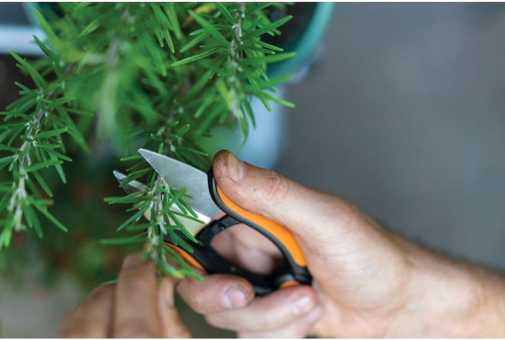 Fiskars 5" Herb Scissors, Garden Snips with Sheath and SoftGrip Handle