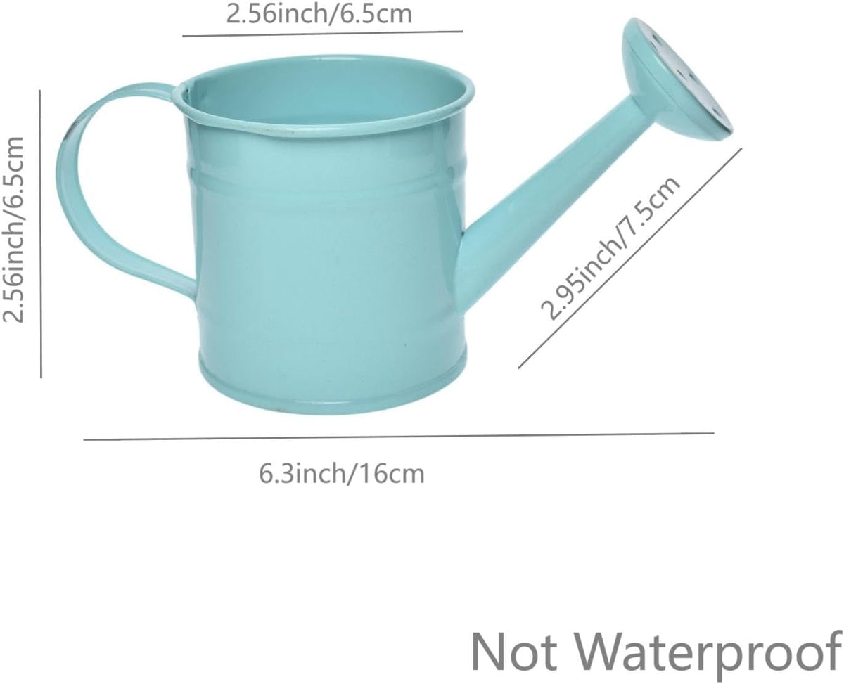 Decorative Mini Tin Watering Can - 0.05Gal Cute Metal Jug for Hand Crafts,Garden-Theme Parties,Plant Pots, Home Decor,Housewarmings, Fun Birthday Gift for Girls and Boys (B/G, S)