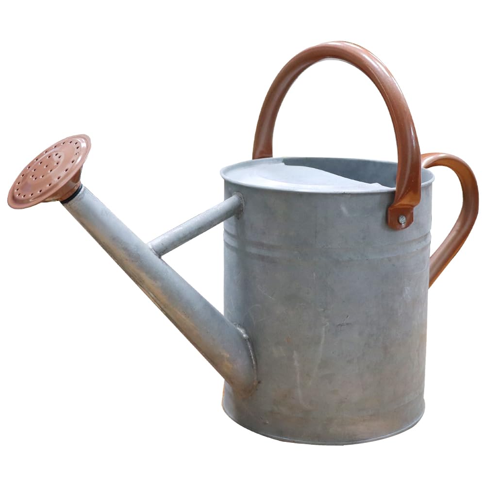 Metal Watering Can 1 Gallon for Outdoor Garden Plants, CGreen