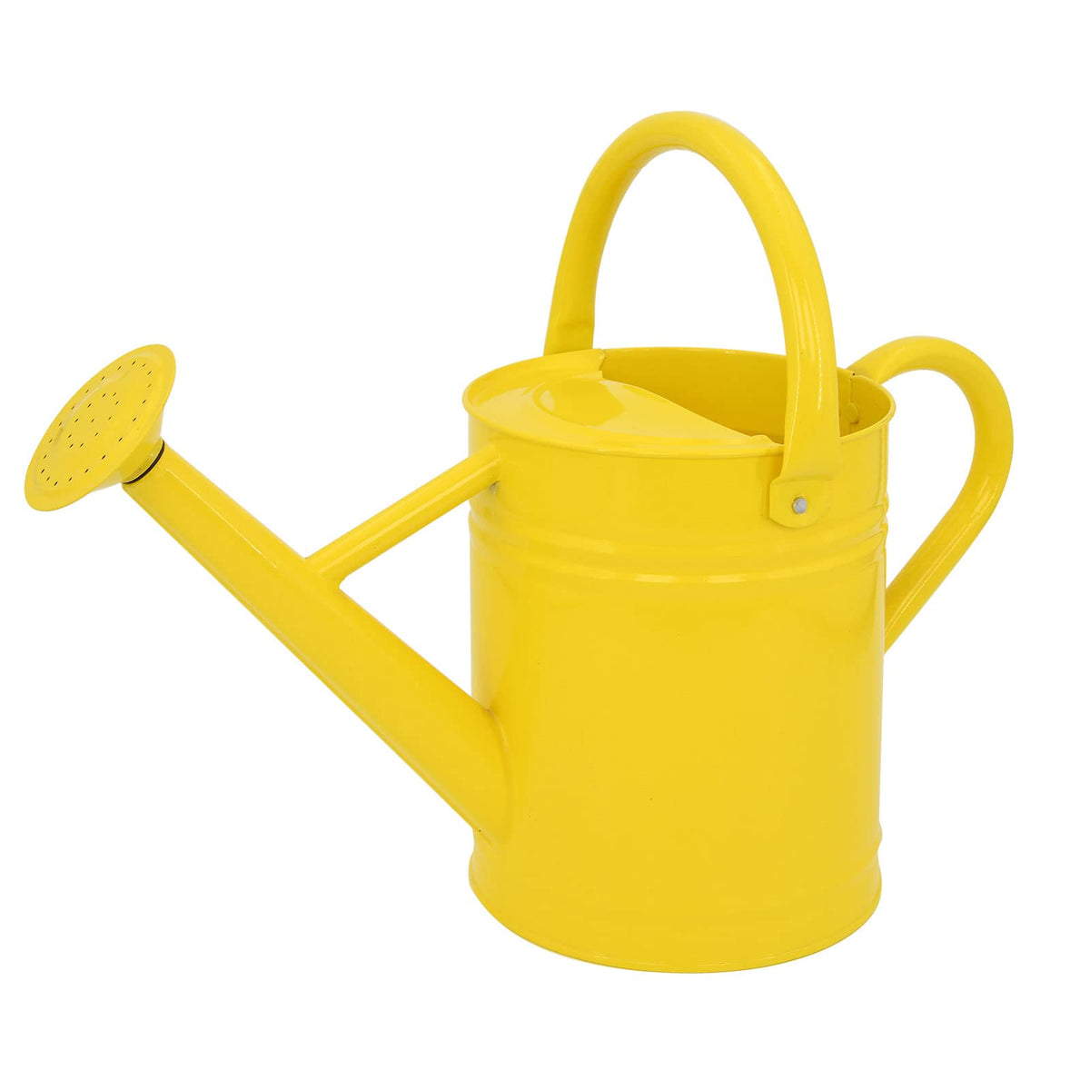 Metal Watering Can for Outdoor Plants, 1 Gallon Galvanized Steel Watering Can with Removable spout for Outdoor & Indoor Use, Perfect for Garden Flower, Houseplants, Forest Green