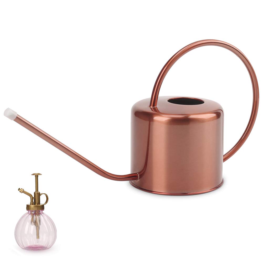 Remiawy Watering Can Indoor Outdoor Stainless Steel Watering Cans for House Plants Long Spout Water Can for Succulent Bonsai Garden Flower(40oz/1300ml)