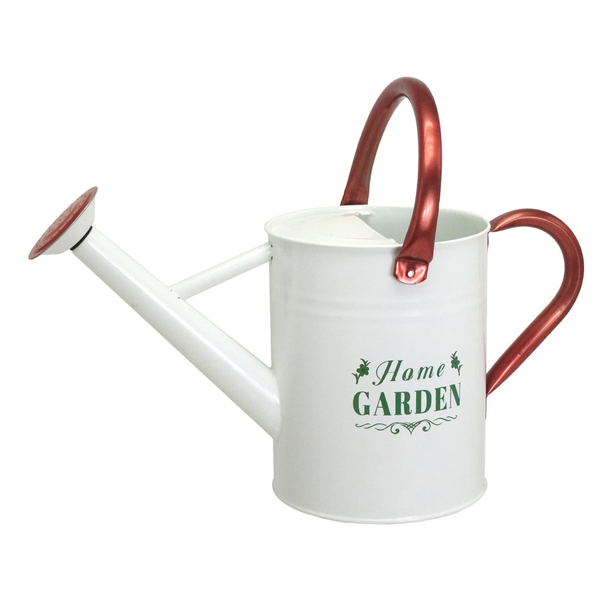 Metal Watering Can for Outdoor Plants, 1 Gallon Galvanized Steel Watering Can with Removable spout for Outdoor & Indoor Use, Perfect for Garden Flower, Houseplants, Forest Green