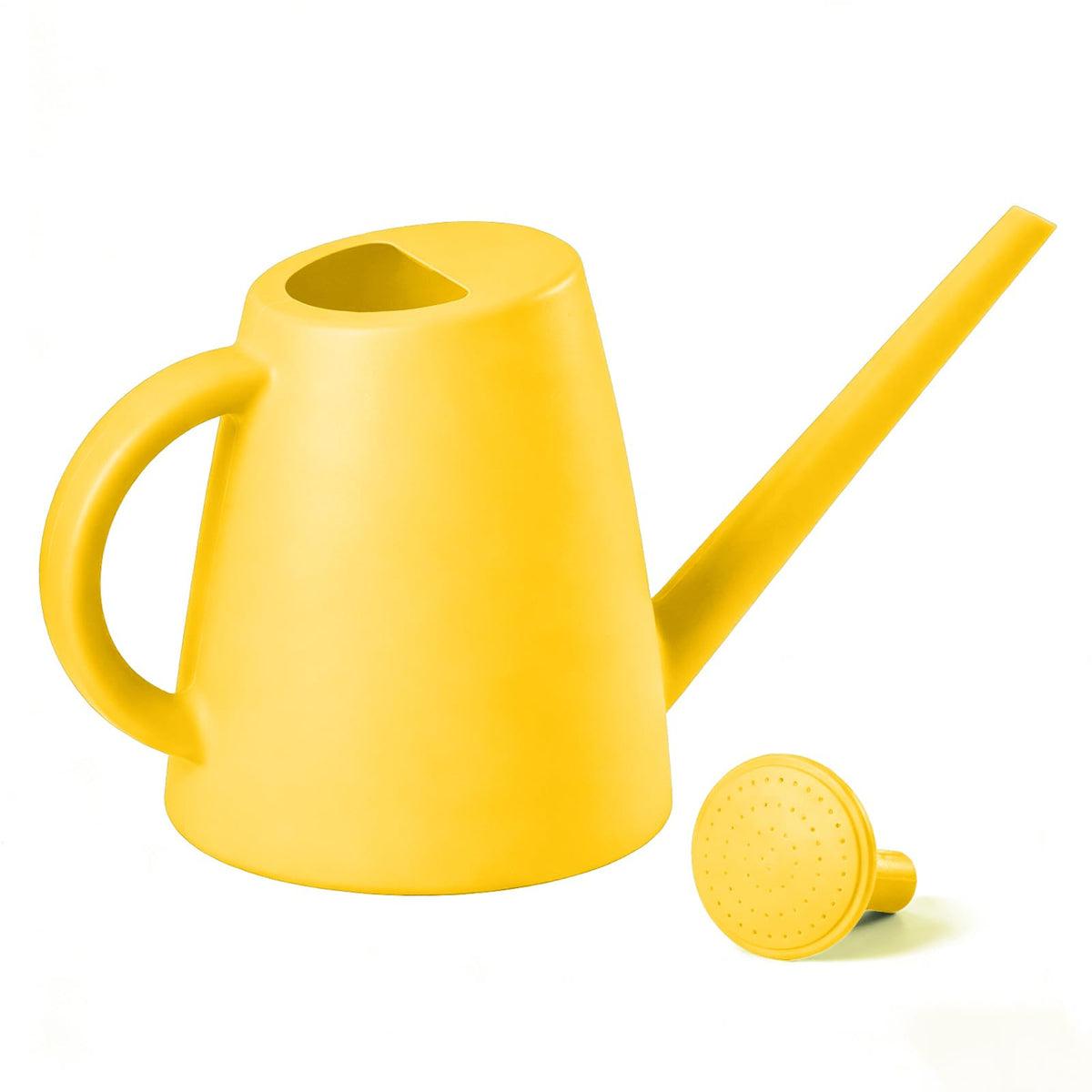 Indoor and Outdoor Watering Can - Long Spout -1/2 Gallon (64oz) - Blackish Green