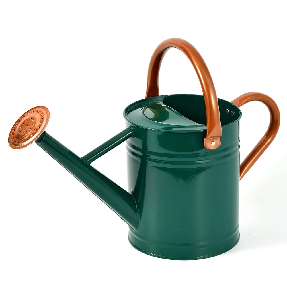 Metal Watering Can 1 Gallon for Outdoor Garden Plants, CGreen