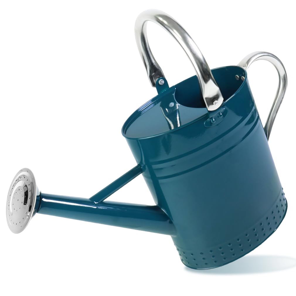 1 Gallon Metal Watering Can with Removable Spout, Nice Galvanized Steel Water Can with Embossed Design for Indoor and Outdoor Plants
