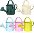 DECHOUS 5 Pack Small Metal Watering Cans for Kids 6.3 x 3 Inch