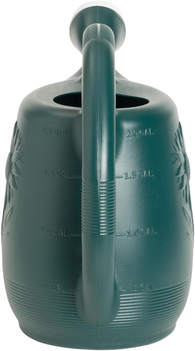 Root & Vessel Classic 2-Gallon Watering Can Outdoor, Hunter Green