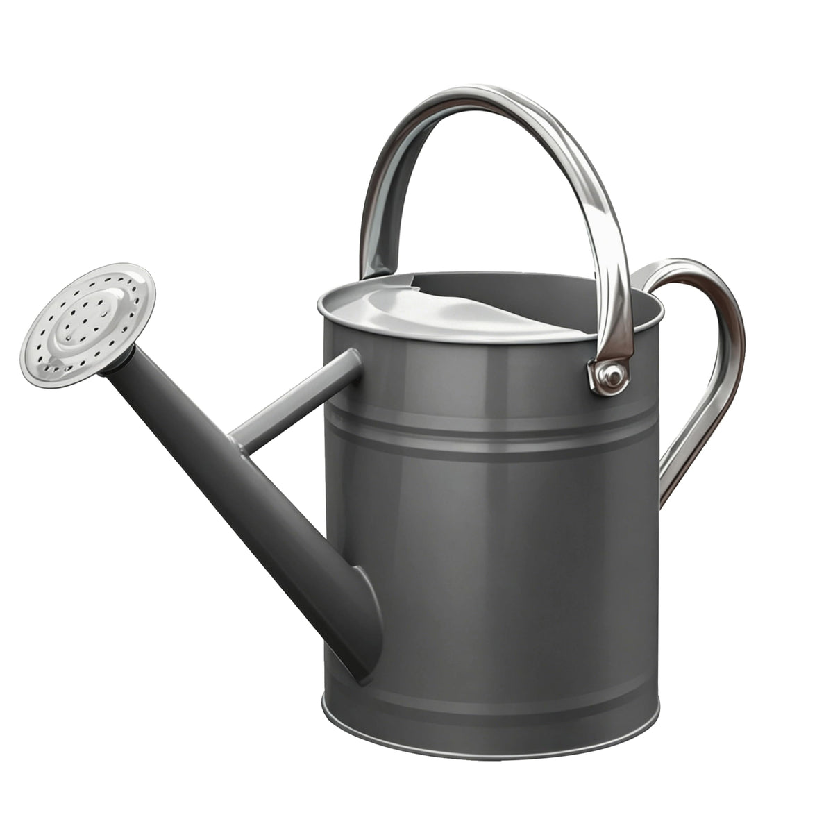 Metal Watering Can for Outdoor Plants, Watering Can 1 Gallon (NewGreen)