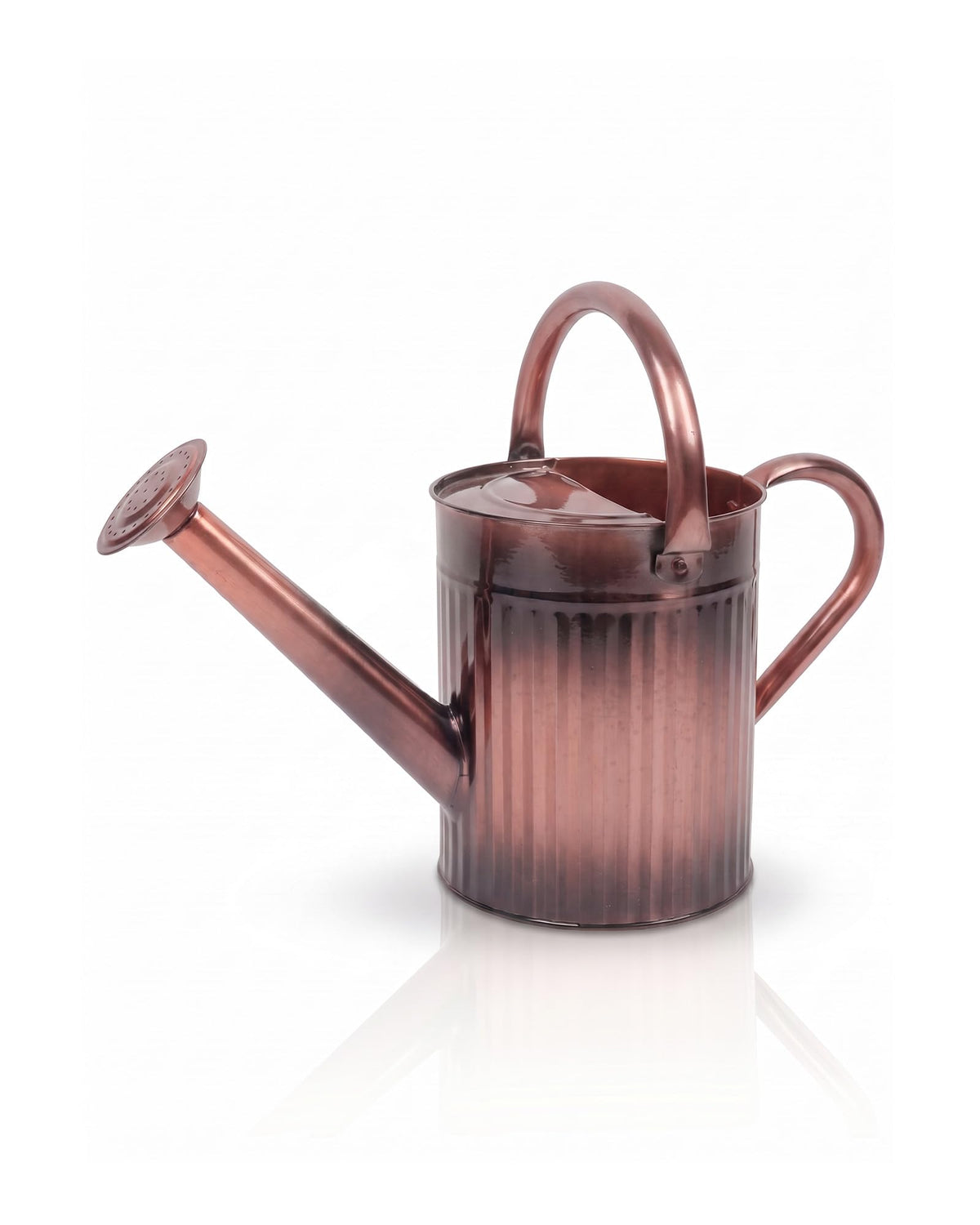 Bamworld Metal Watering Can for Indoor Outdoor Plant 1/2 Gallon Creamy