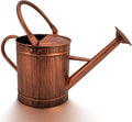 1 Gallon Watering Can, Metal Watering Can with Removable Spout, Farmhouse Galvanzied Water Can, Nice Plant Water Can for Indoor Use and for Outdoor Use