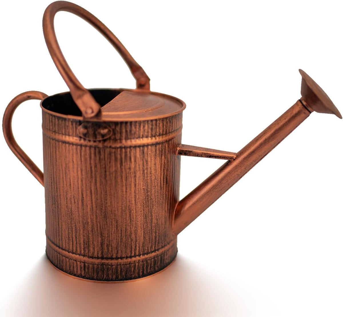 1 Gallon Watering Can, Metal Watering Can with Removable Spout, Farmhouse Galvanzied Water Can, Nice Plant Water Can for Indoor Use and for Outdoor Use