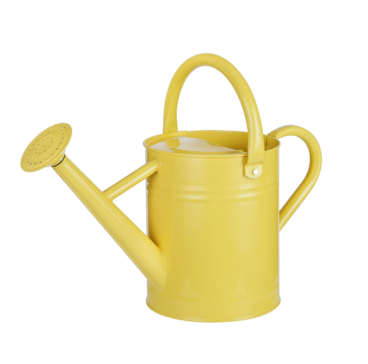 1 Gallon Watering Can for Plants, Watering Cans for Indoor&Outdoor Gardening, Galvanized Steel Watering Pot with Removable Spout, Metal Water Can with Ergonomic Movable Handle(White)