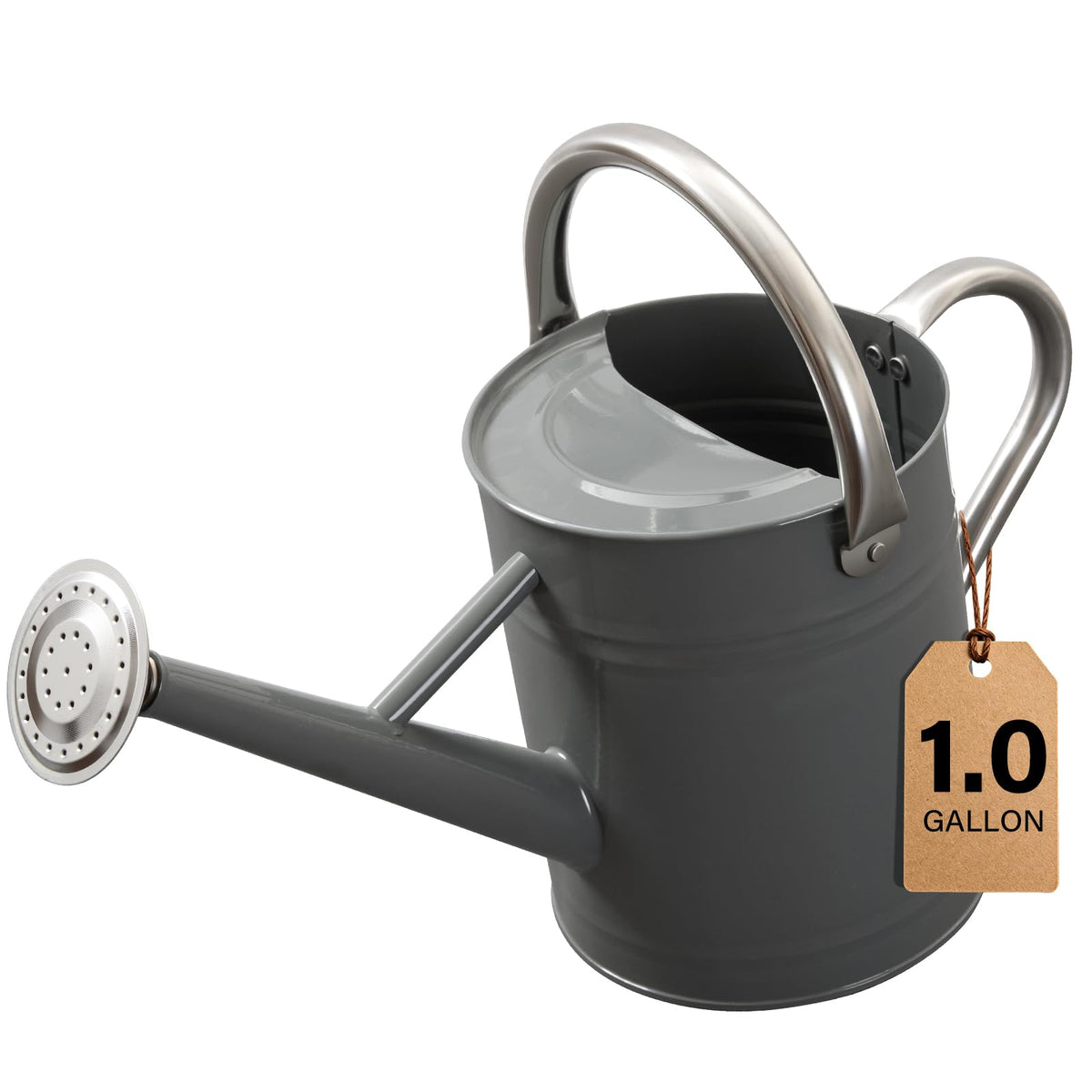 1 Gallon Watering Can for Outdoor&Indoor Plants