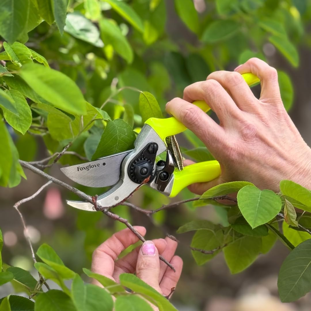 Foxglove Pruning Shears - Bypass Hand Pruners, Japanese SK5 Blades Shears