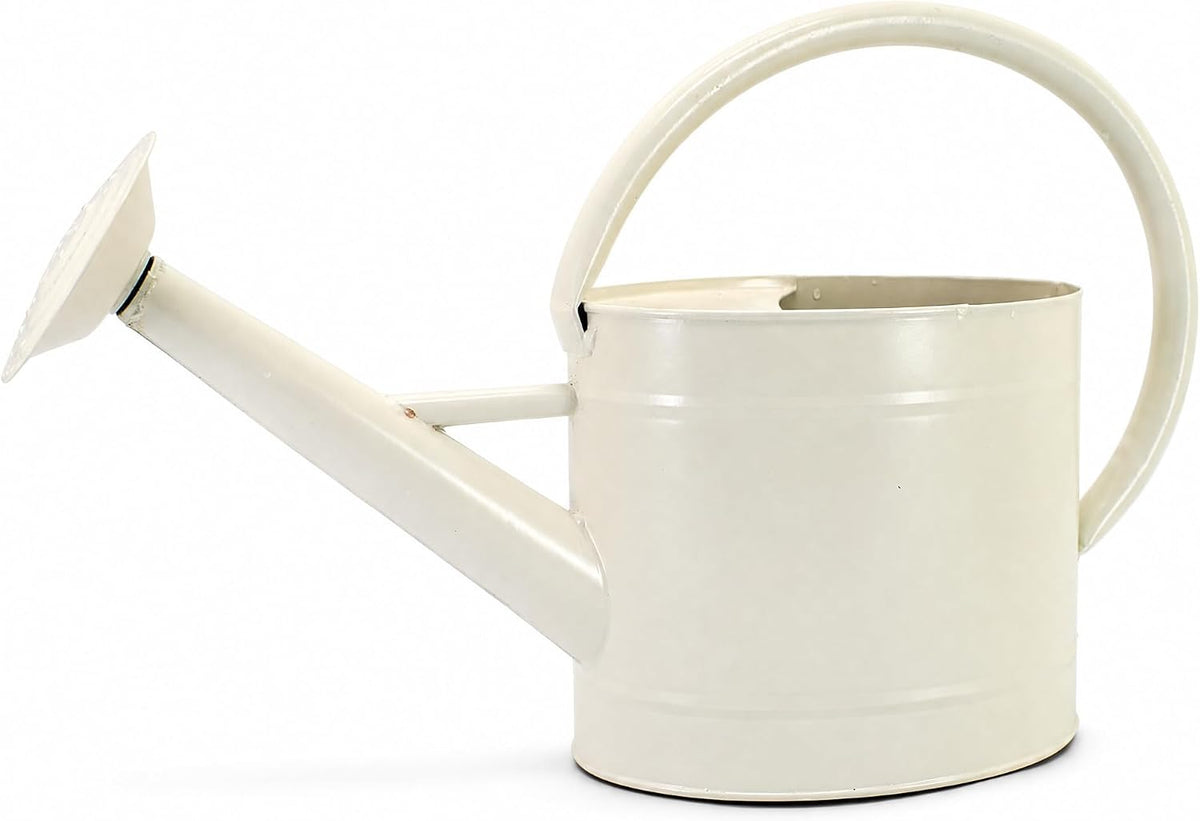 1 Gallon Watering Can, Metal Watering Can with Removable Spout, Farmhouse Galvanzied Water Can, Nice Plant Water Can for Indoor Use and for Outdoor Use