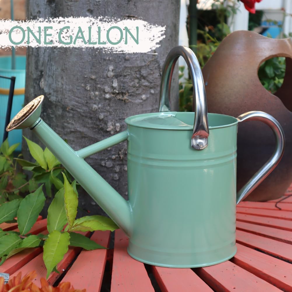 Metal Watering Can 1 Gallon for Outdoor Garden Plants, CGreen