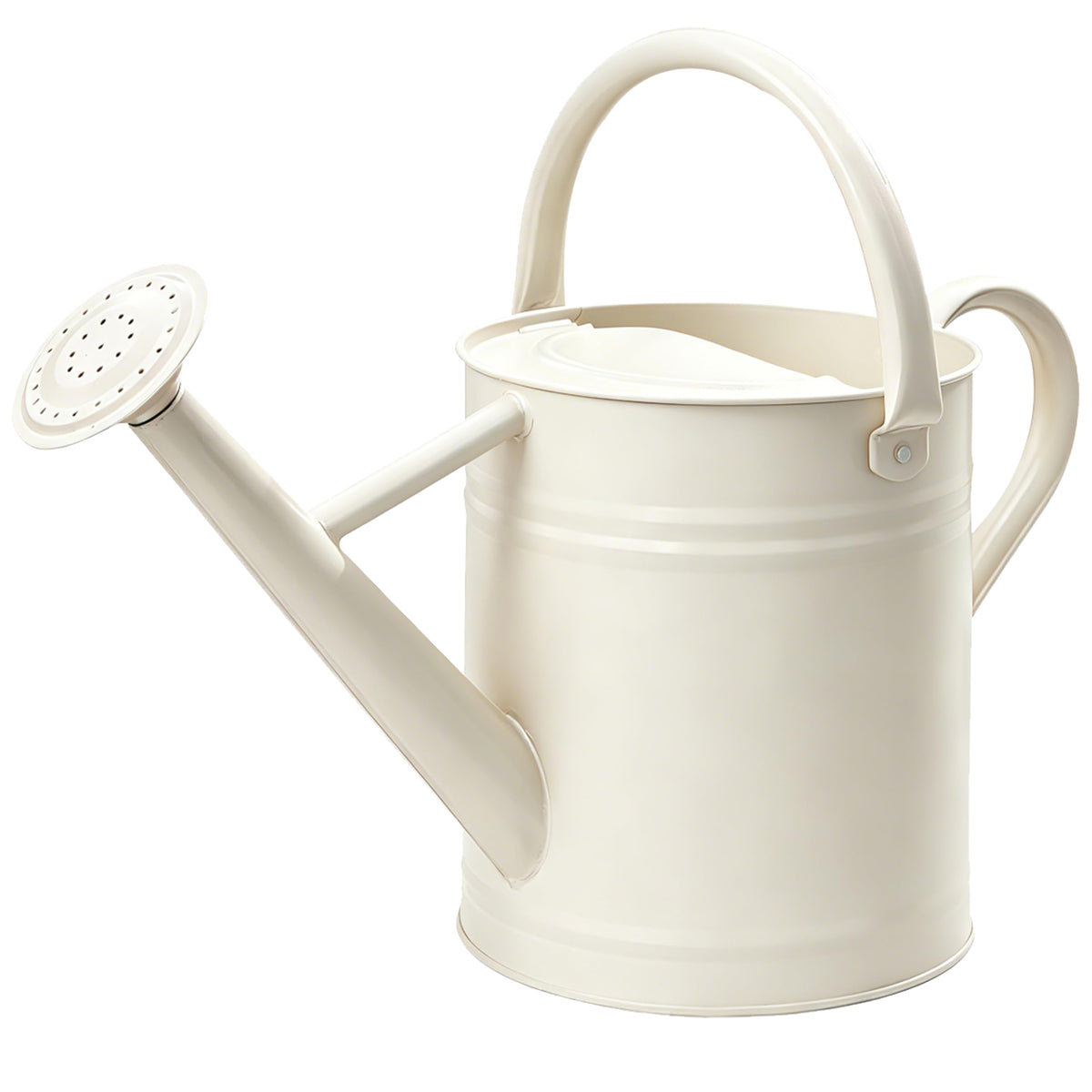 Metal Watering Can for Outdoor Plants, Watering Can 1 Gallon (NewGreen)