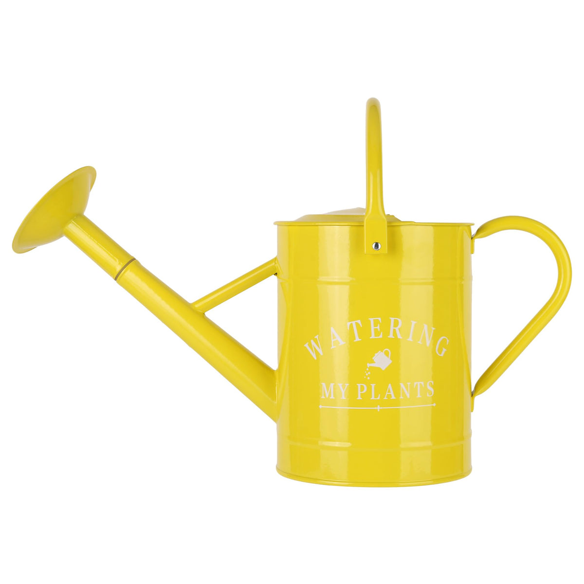 Garutom Galvanized Watering Can for Outdoor Indoor Plants, 1 Gallon Decorative Countryside Style Water Can with Removable Spout, Perfect Metal Watering Can for Indoor Plants and Garden Flower