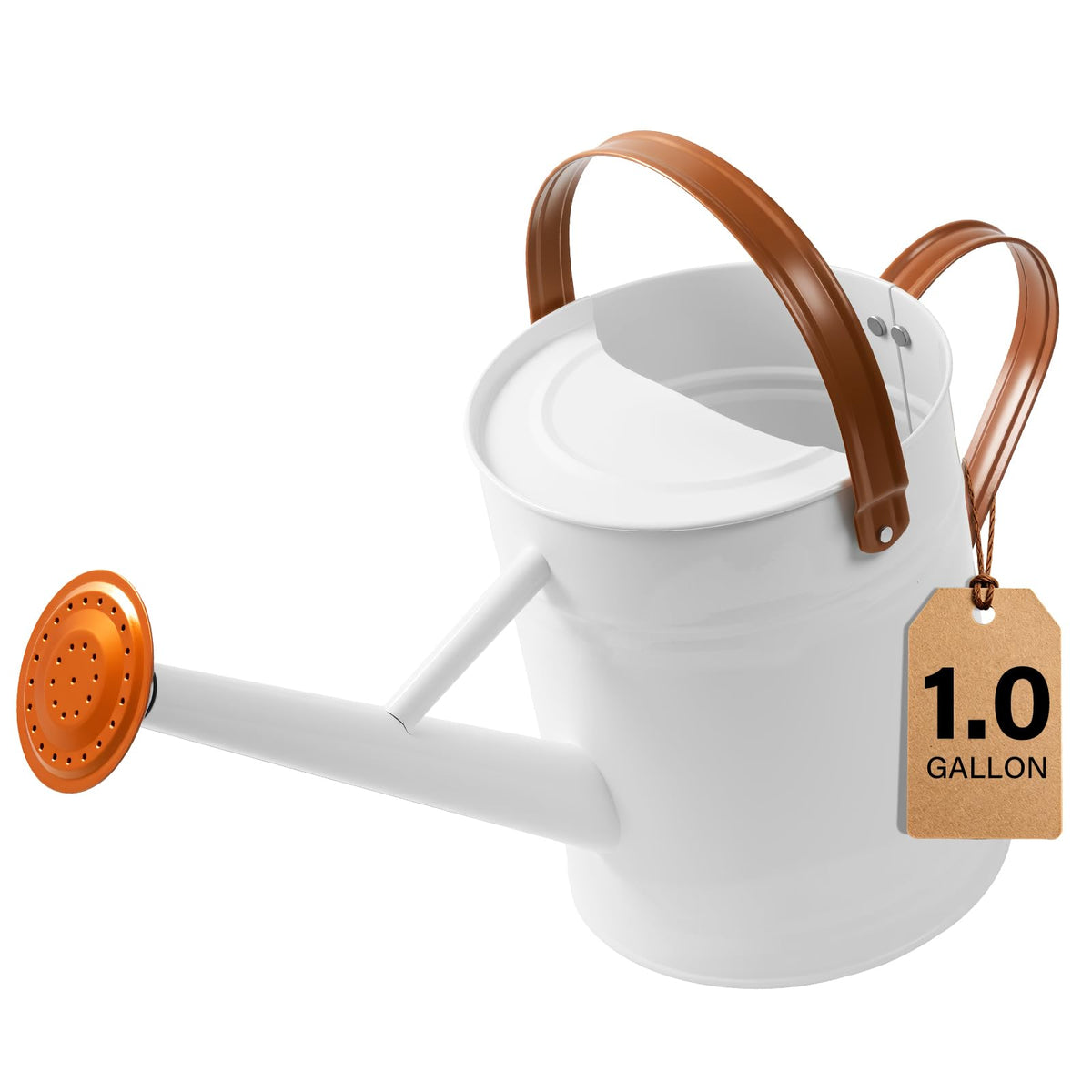 1 Gallon Watering Can for Outdoor&Indoor Plants