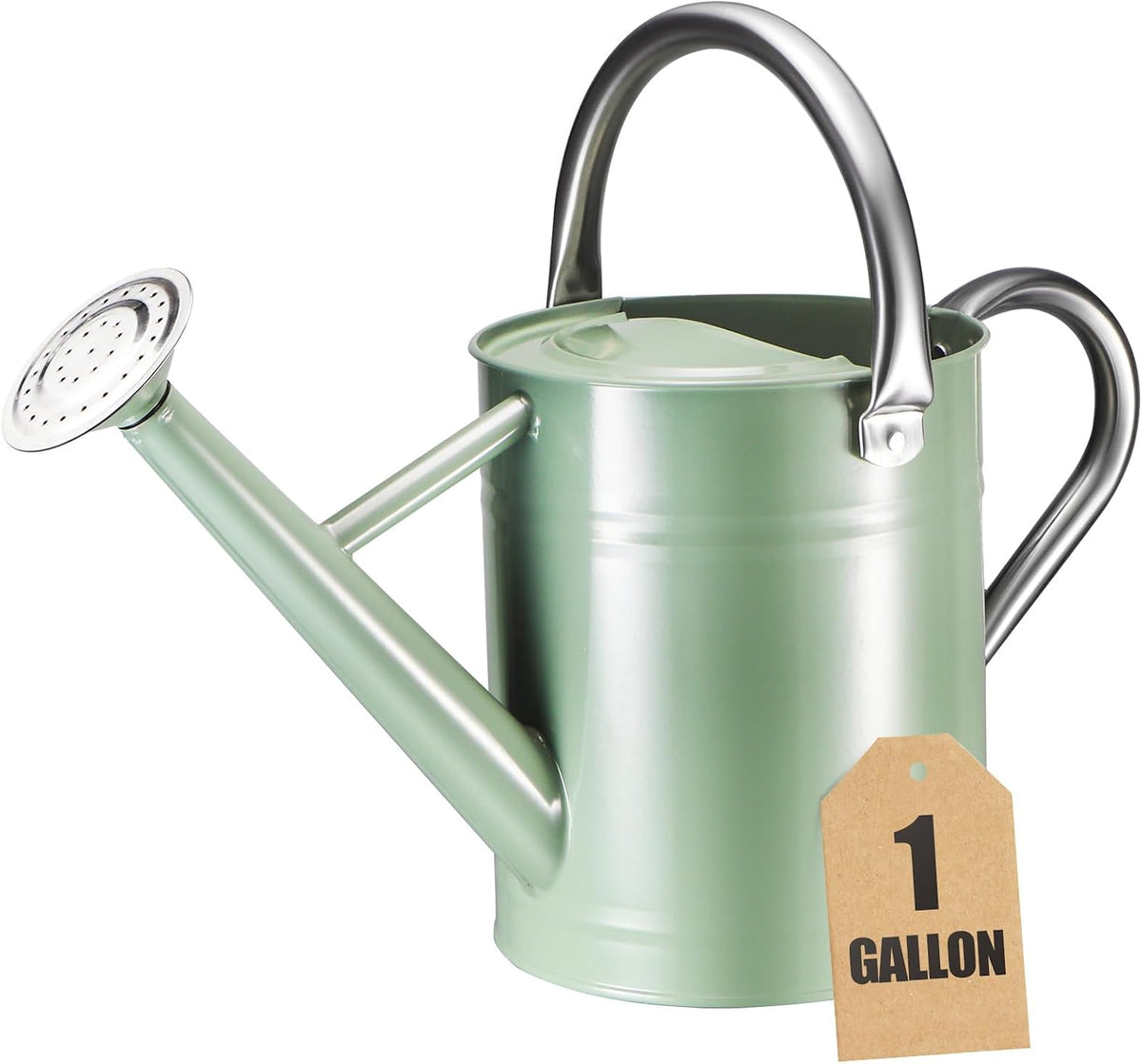1 Gallon Watering Can for Outdoor&Indoor Plants